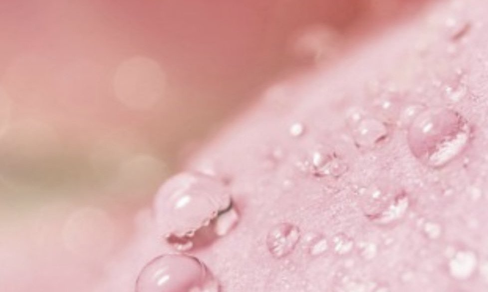 Elige la cosmética sostenible y únete al cambio | L'Oréal Paris